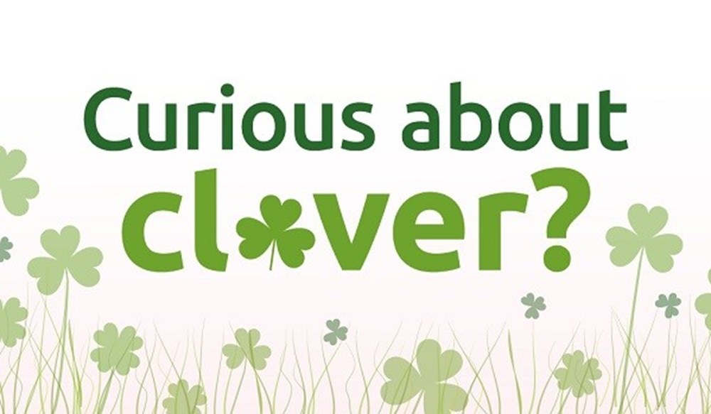 Curious about clover event banner 5